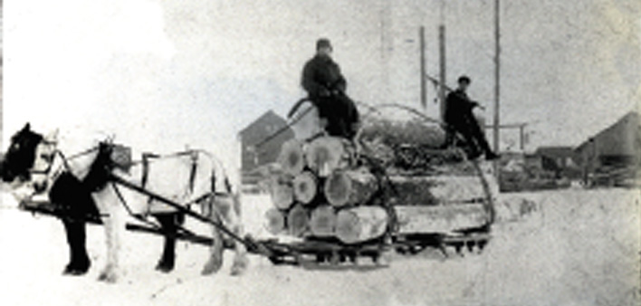 Cutting The Great Timber – 1870