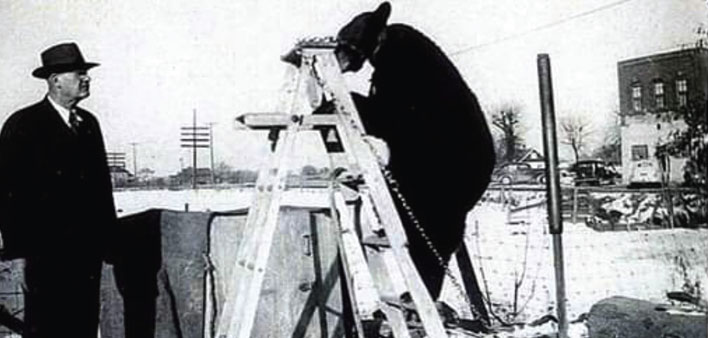 bear-and-bar