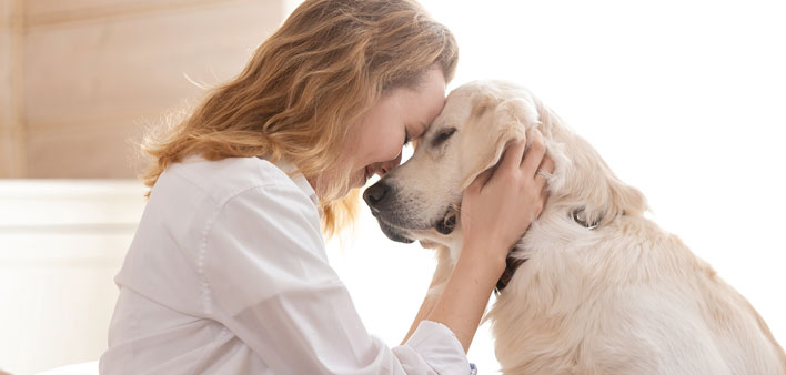 therapy-animals