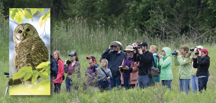 bird-watching